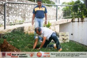 තොරතුරු 6 IMG 8619